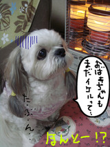 BlogPaint