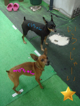 BlogPaint
