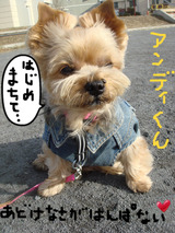 BlogPaint