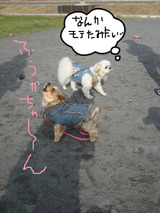 BlogPaint