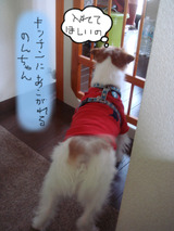 BlogPaint