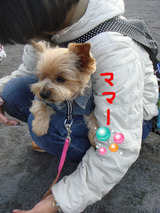 BlogPaint