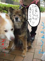 BlogPaint