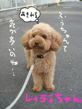 BlogPaint