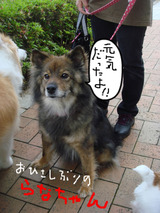 BlogPaint