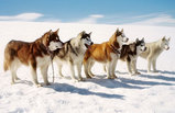 46168ddd.jpg