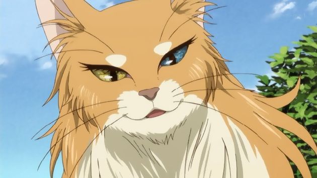 魔法使いの嫁 4話 (07)