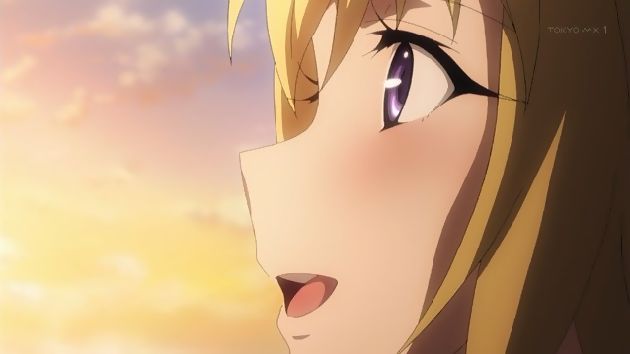Fate/Apocrypha 19話 (15)