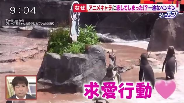 けものフレンズ グレープ君