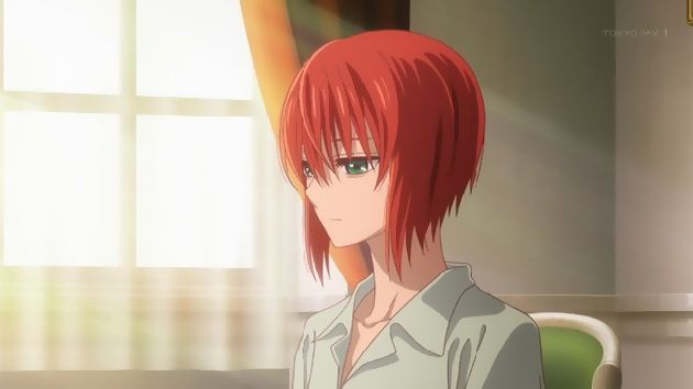 魔法使いの嫁 1話 (01)