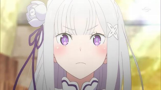 63306056