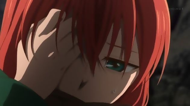 魔法使いの嫁 3話 (17)