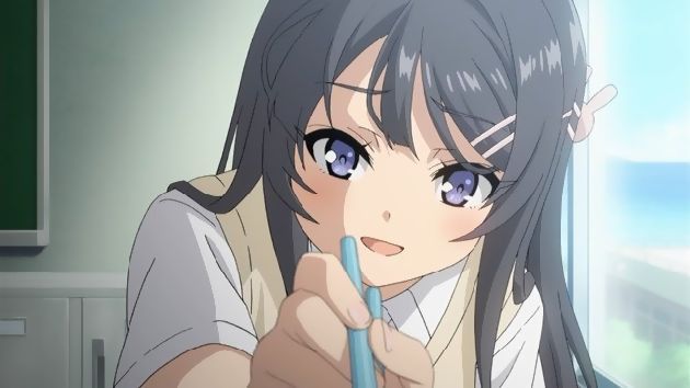 青春豚野郎