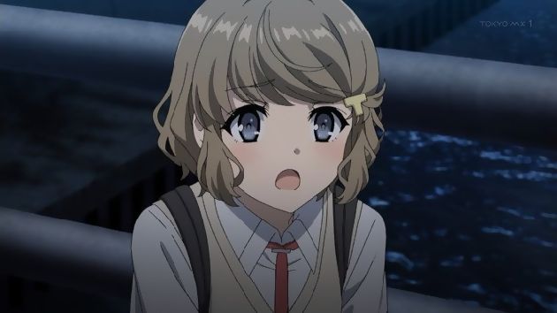 青春豚野郎