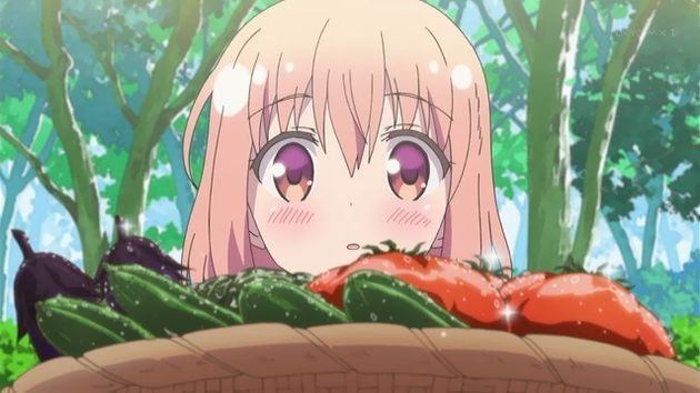ひなこのーと 2話 10