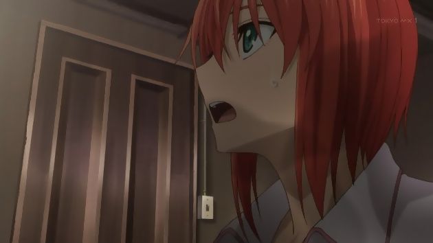 魔法使いの嫁 12話 (13)