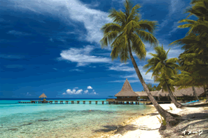 cebu_photo