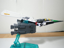 IMGP4926