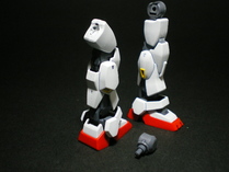 IMGP6303