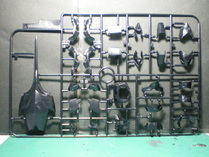 IMGP9512