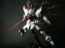 IMGP1501