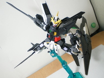 IMGP4964