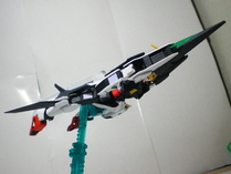 IMGP4937