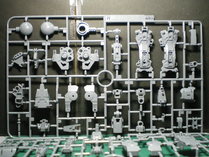 IMGP9525