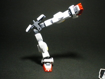 IMGP6306