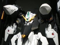 IMGP7261