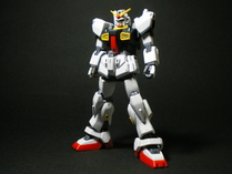IMGP6253