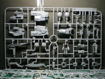 IMGP9526