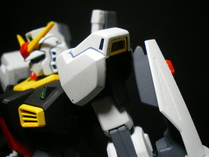 IMGP6311