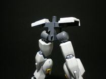 IMGP6301