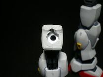 IMGP6305
