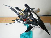 IMGP4954