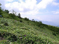 2008081003根子岳