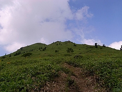 2008081010根子岳
