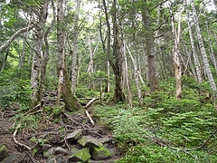 2008081013四阿山