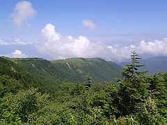 2008081008根子岳