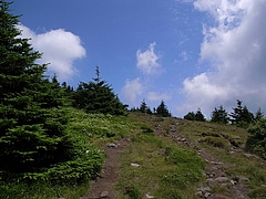 2008081016四阿山
