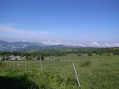 2008081001菅平牧場