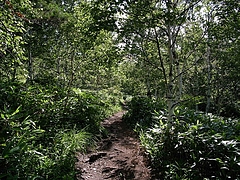 2008081002根子岳