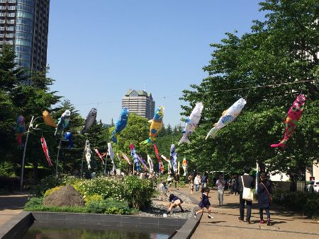 180428こいのぼり (2) (450x338)