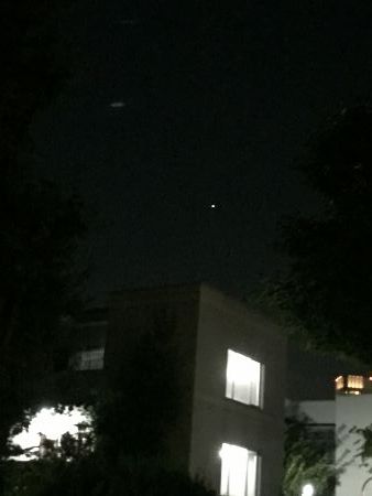 IMG_2786 (338x450)