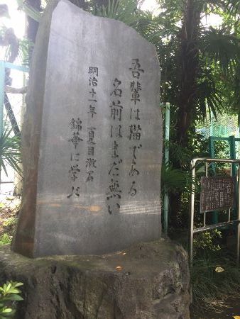 IMG_1442 (338x450)