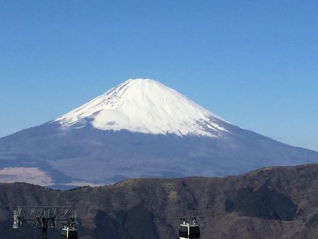 IMG_3485 (450x338)