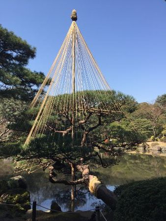 IMG_3776 (338x450)