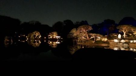 20190326_193320 (450x253)