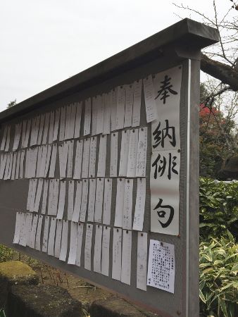 IMG_3570 (338x450)